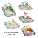 GIMNASIO ACTIVITY 5 EN 1