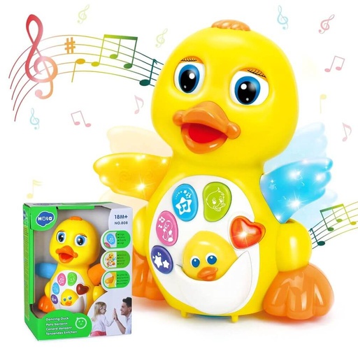 [808] PATO MUSICAL HOLA