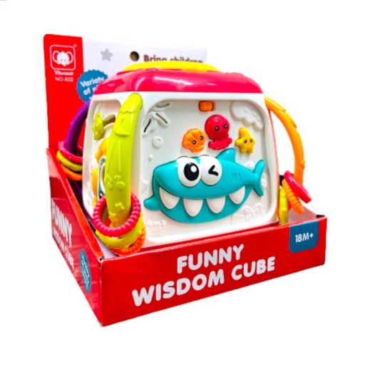 [822] FUNNY WISDOM CUBE