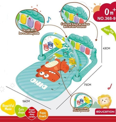 [368-9] GIMNASIO PIANO AIYINGLE